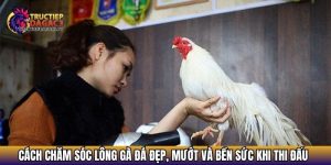 cach cham soc long ga da