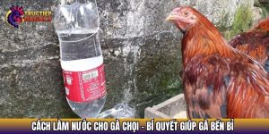 cach lam nuoc cho ga choi