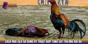 cach mai cua ga