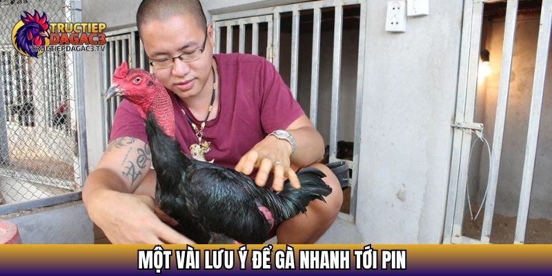 Bật Mí Cách Nuôi Gà Mau Tới Pin Hiệu Quả Từ Sư Kê Lão Làng 4 Một vài lưu ý để gà nhanh tới pin