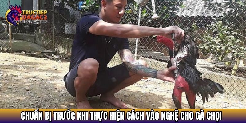 Cách Vào Nghệ Cho Gà Chọi Đúng Kỹ Thuật Chịu Đòn Tốt 3 Chuẩn bị trước khi thực hiện cách vào nghệ cho gà chọi
