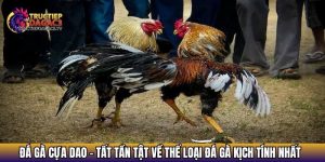 da ga cua dao