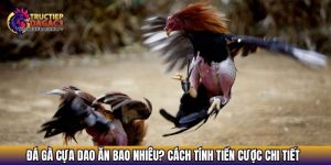 da ga cua dao an bao nhieu