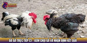 da ga truc tiep c1