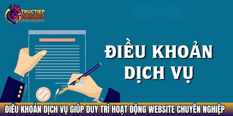 Điều khoản dịch vụ giúp duy trì hoạt động website chuyên nghiệp