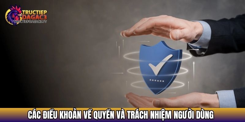 Các Điều khoản về quyền và trách nhiệm người dùng