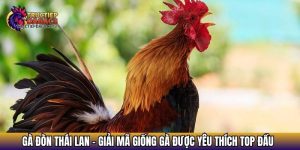 ga don thai lan