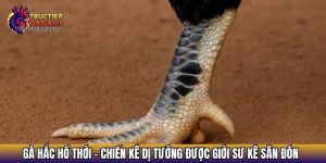 ga hac ho thoi