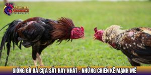 giong ga da cua sat hay nhat