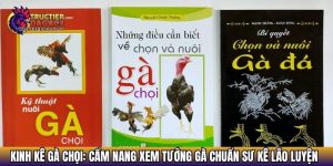 kinh ke ga choi