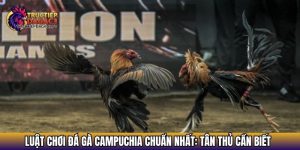 luat choi da ga campuchia