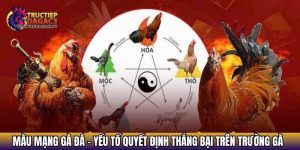 mau mang ga da