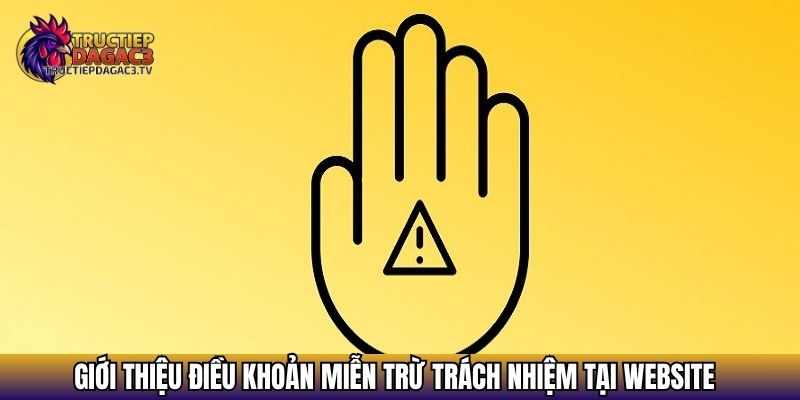 Miễn Trừ Trách Nhiệm - Điều Khoản Tại Đá Gà Trực Tiếp C3 1 Giới thiệu điều khoản miễn trừ trách nhiệm tại website