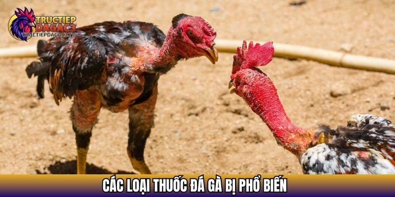 Các loại thuốc đá gà bị phổ biến