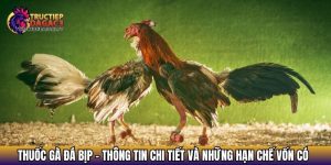 thuoc ga da bip