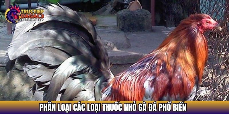 Thuốc Nhỏ Gà Đá Hiệu Quả Giúp Tăng Bo, Cải Thiện Thể Lực 3 Phân loại các loại thuốc nhỏ gà đá phổ biến