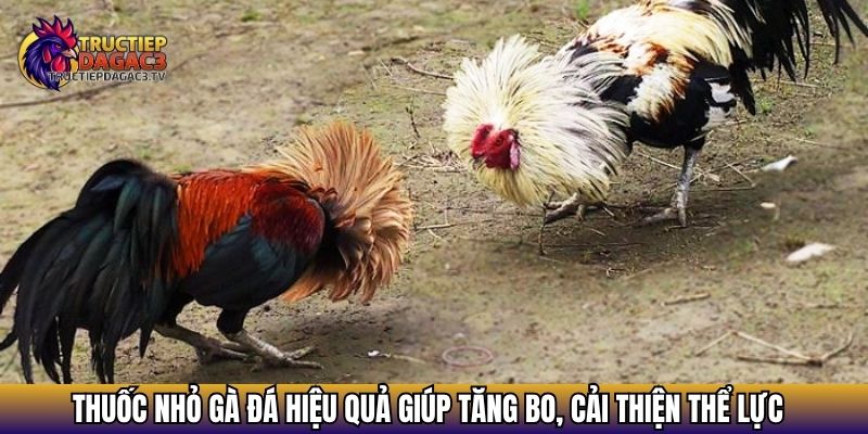 thuoc nho ga da