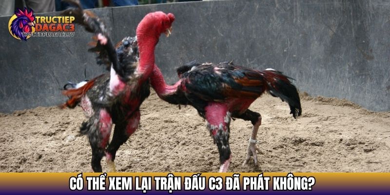 Trực Tiếp Đá Gà C3 - Xem Đá gà Cực HOT 2025 Với Chiến Kê Khủng 23 Có thể xem lại trận đấu C3 đã phát không?